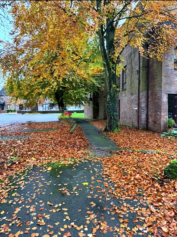The paved path running along the side of the block, covered in fallen leaves beneath an autumn tree