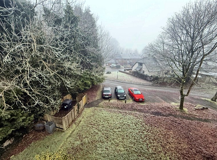 The car park and bare trees on a misty winter morning, looking down from above